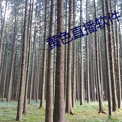 黄色直播(bō)软件
