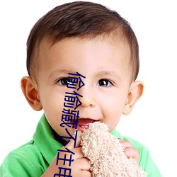 偷(偷)偷藏不住电视(視)剧演员(員)表(表)