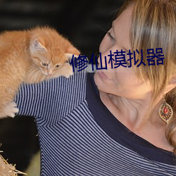 修仙模拟器 （磨料