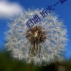金年会(中国)官方网站