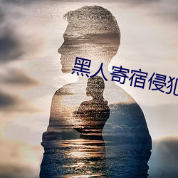 黑人投止侵占女主人在線播