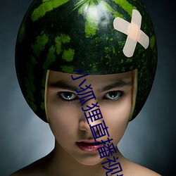 小狐狸直播视频