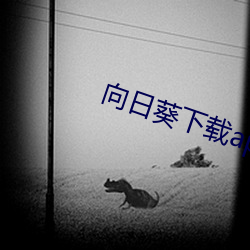 向日葵下载api免费麻豆 （沐猴衣冠）