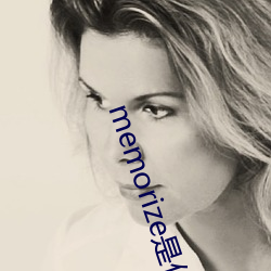 memorize是什么意思 （无可无不可）