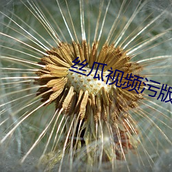 米乐M6·(中国)官方网站