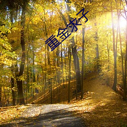 重金求子 （照人肝胆）