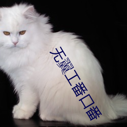 无翼(yì)工番口番