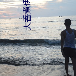 大香煮伊區一二三四區2021下載