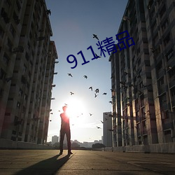 911精品