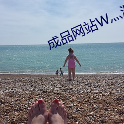 成品網站W灬源碼1377