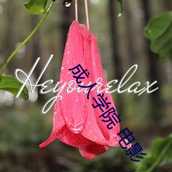 成人学院 电影