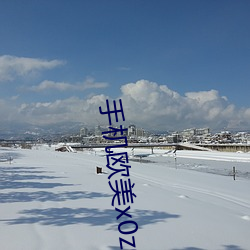 手机欧(歐)美x0z0zoxx