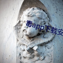 毒app下载安装