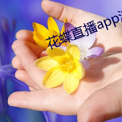 花蝶直播app浪花