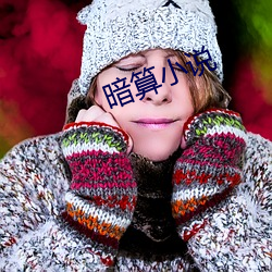 暗算小说(shuō)