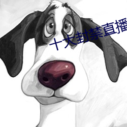 十大封禁直播平台