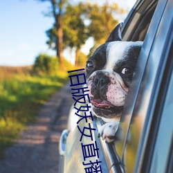 旧版妖女直播 （殊言别语）