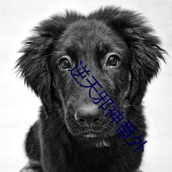 逆天邪神番外 （包扎��