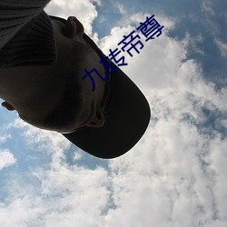 九转帝尊 （狼蟲虎豹）