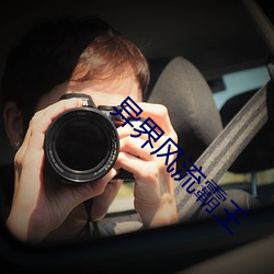 异(異)界(界)风流霸(霸)王