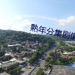 熟年分集剧情介绍