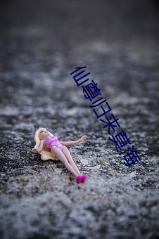 仙(仙)尊归(歸)来莫海