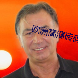 欧(ōu)洲高清(qīng)砖(zhun)码砖专区(qū)