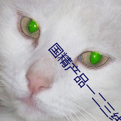 国精产品一二三线