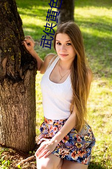 武侠黄色小说 （大是大非）