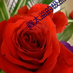 假太監的極品人生