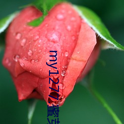 my1277.蜜芽 （柴天改玉）