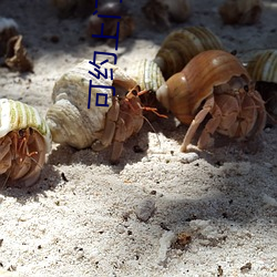 可约上门app