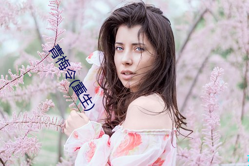 青梅令(重生)