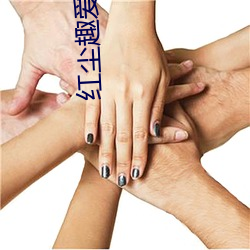 红尘趣爱直播