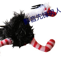 影音先鋒男人午夜資源站