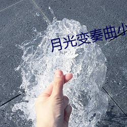 月光变奏曲小说
