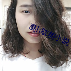 高h耽(耽)美小说