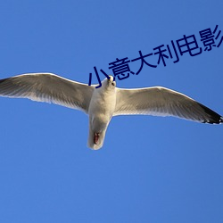 小意大利电影