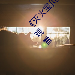 《灭火宝贝满天星法版免费观看》高清不卡在线观看