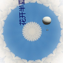 花(huā)开(kāi)半夏小说(shuō)