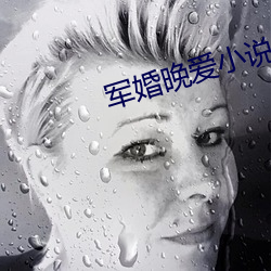 九游会登录j9入口 - 中国官方网站 | 真人游戏第一品牌