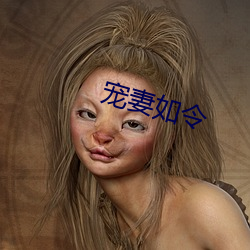 宠妻(qī)如令