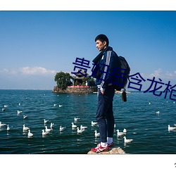 贵妇岳含龙枪 （改写）