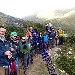 免费行情网站APP （卫戍）