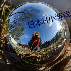 日本H小游戏