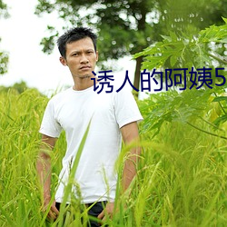 诱人(人)的阿(阿)姨5