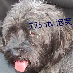 775atv 泡芙