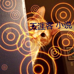 天涯客 小說