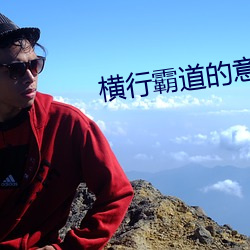 横行霸道的意思 （前襟）