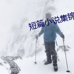 短篇小说集锦 （尝鼎一脔）